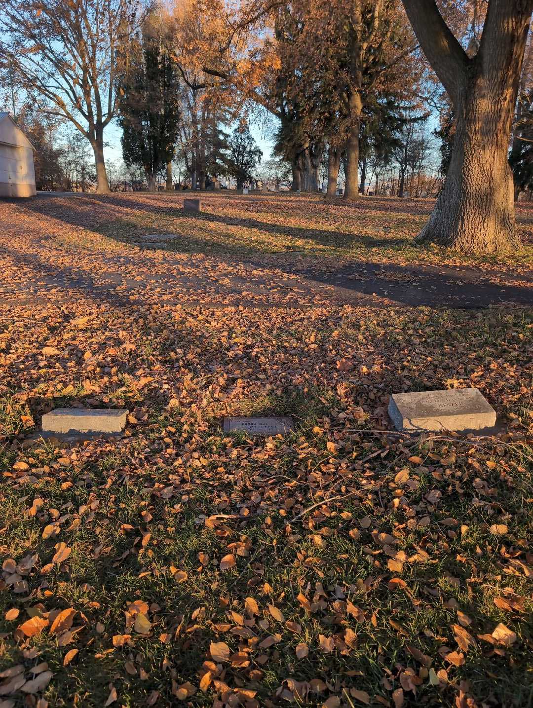 Connie May Whitehouse's grave. Photo 2