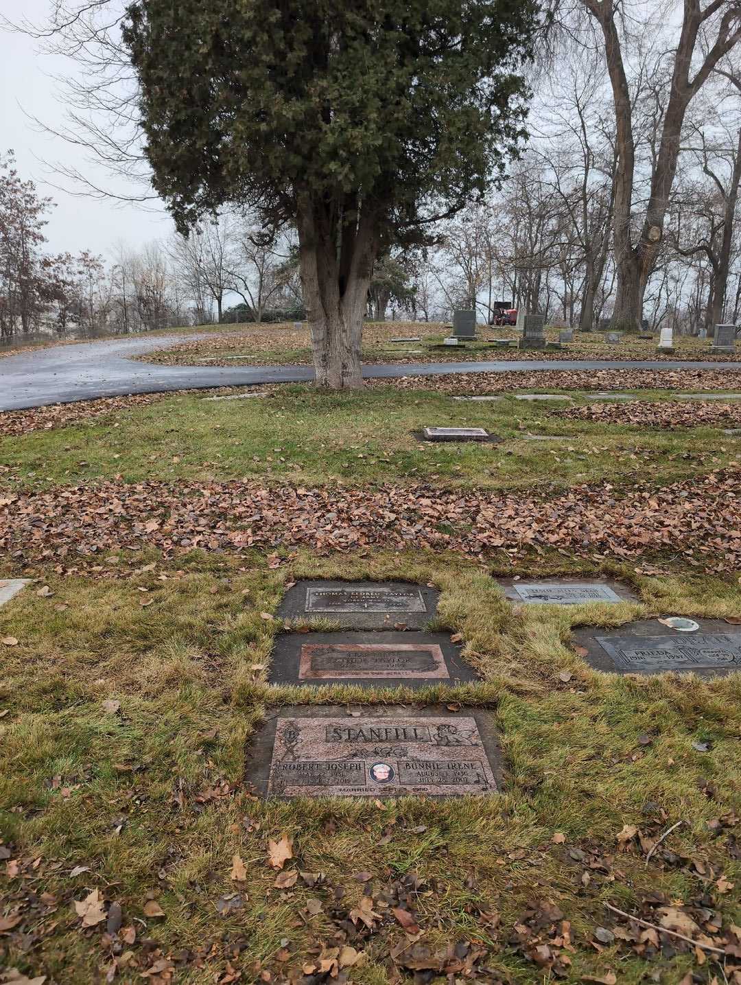Esther Taylor's grave. Photo 9