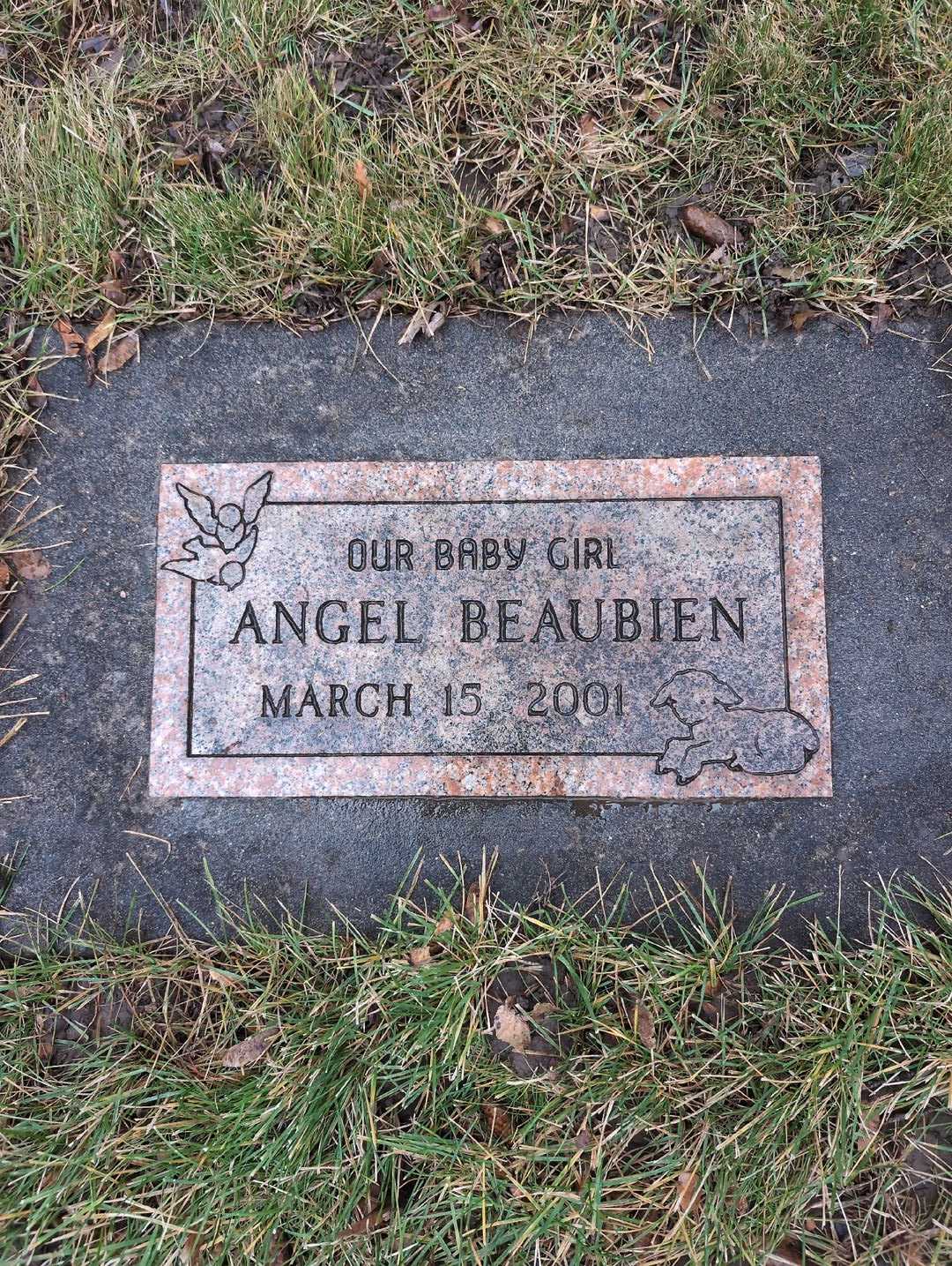 Darlene P. Haeger's grave. Photo 5