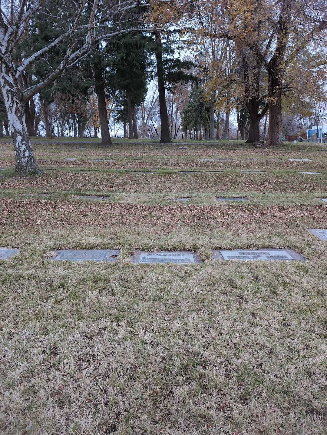 Ellen N. Holderby's grave. Photo 4