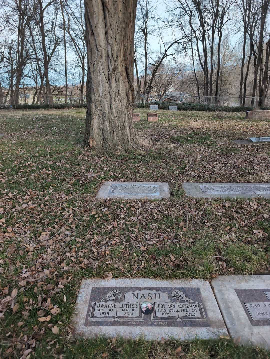 Judith Grace "Judy" Hannum's grave. Photo 2