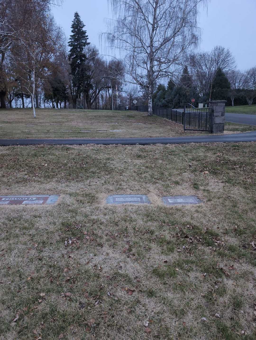 Evelyn B. White's grave. Photo 2