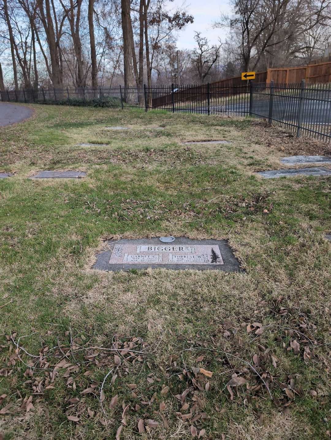 Forrest W. Bigger's grave. Photo 2