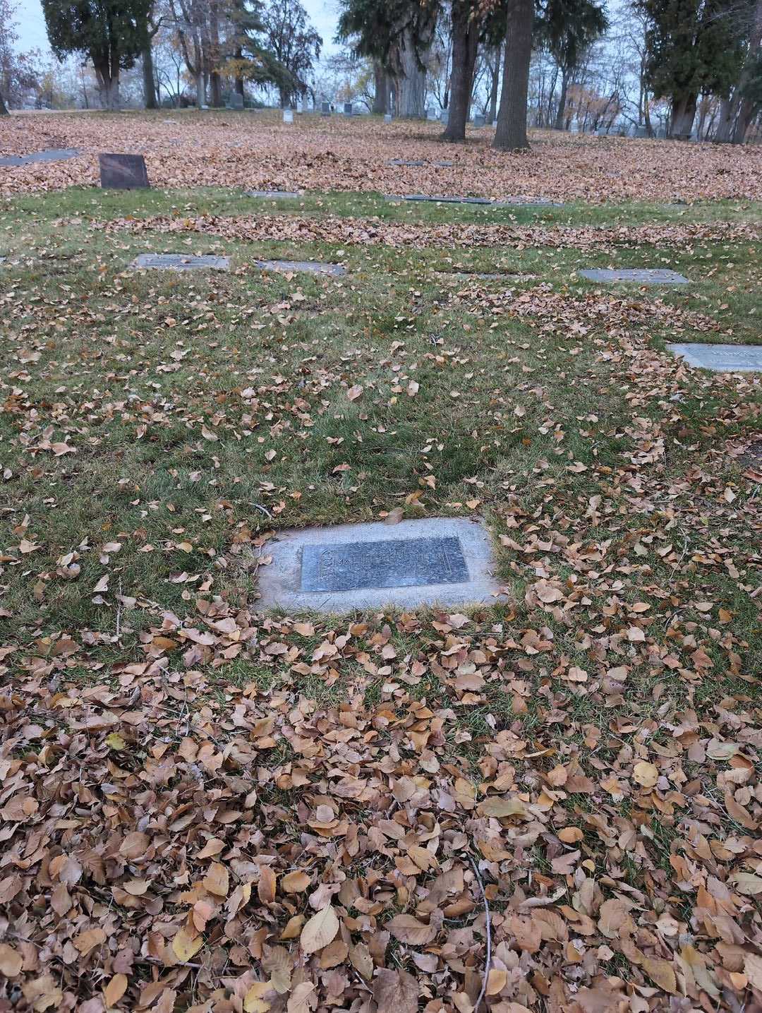 Martha Renschler's grave. Photo 2