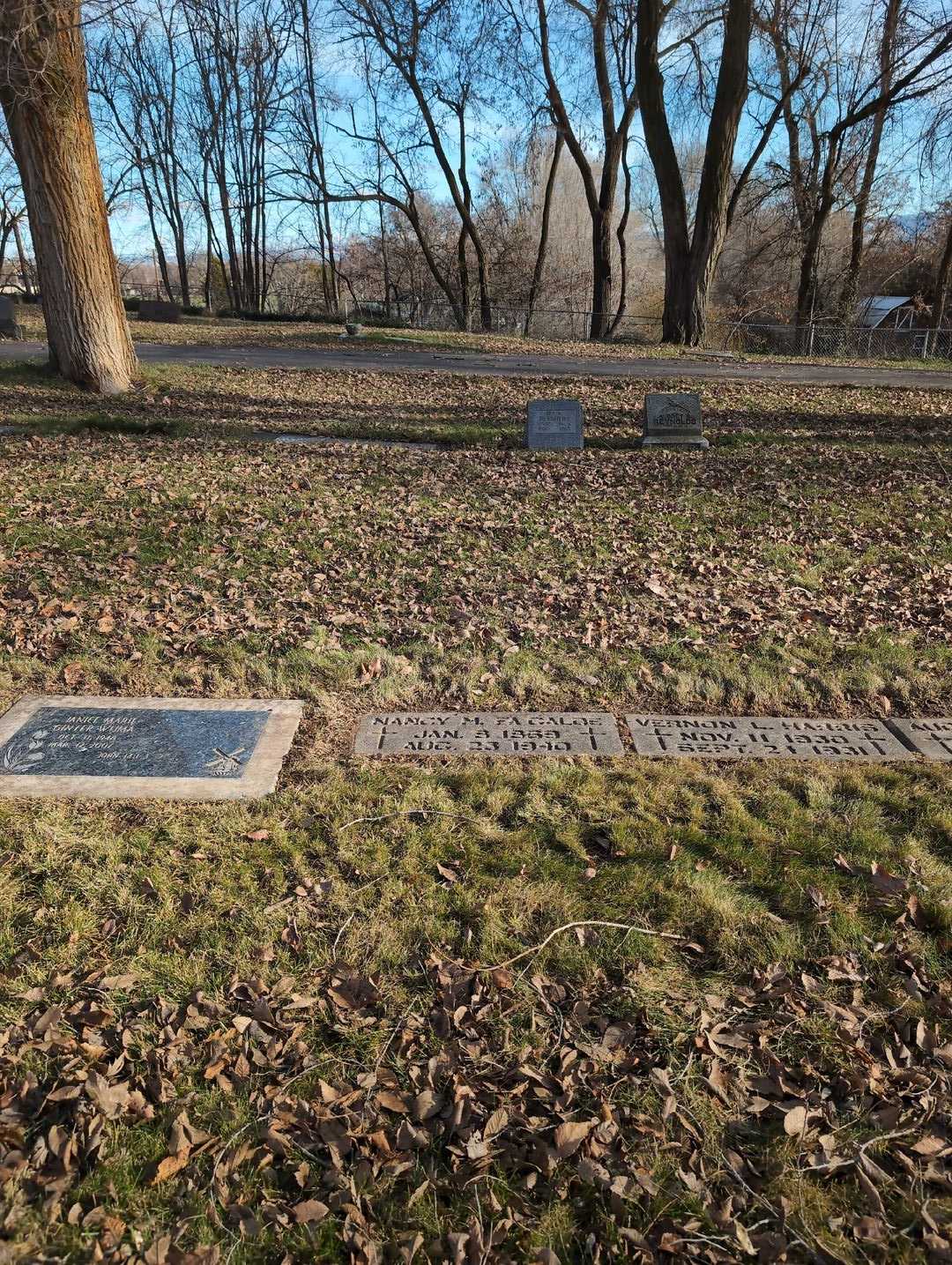 Nancy M. Fagalde's grave. Photo 4