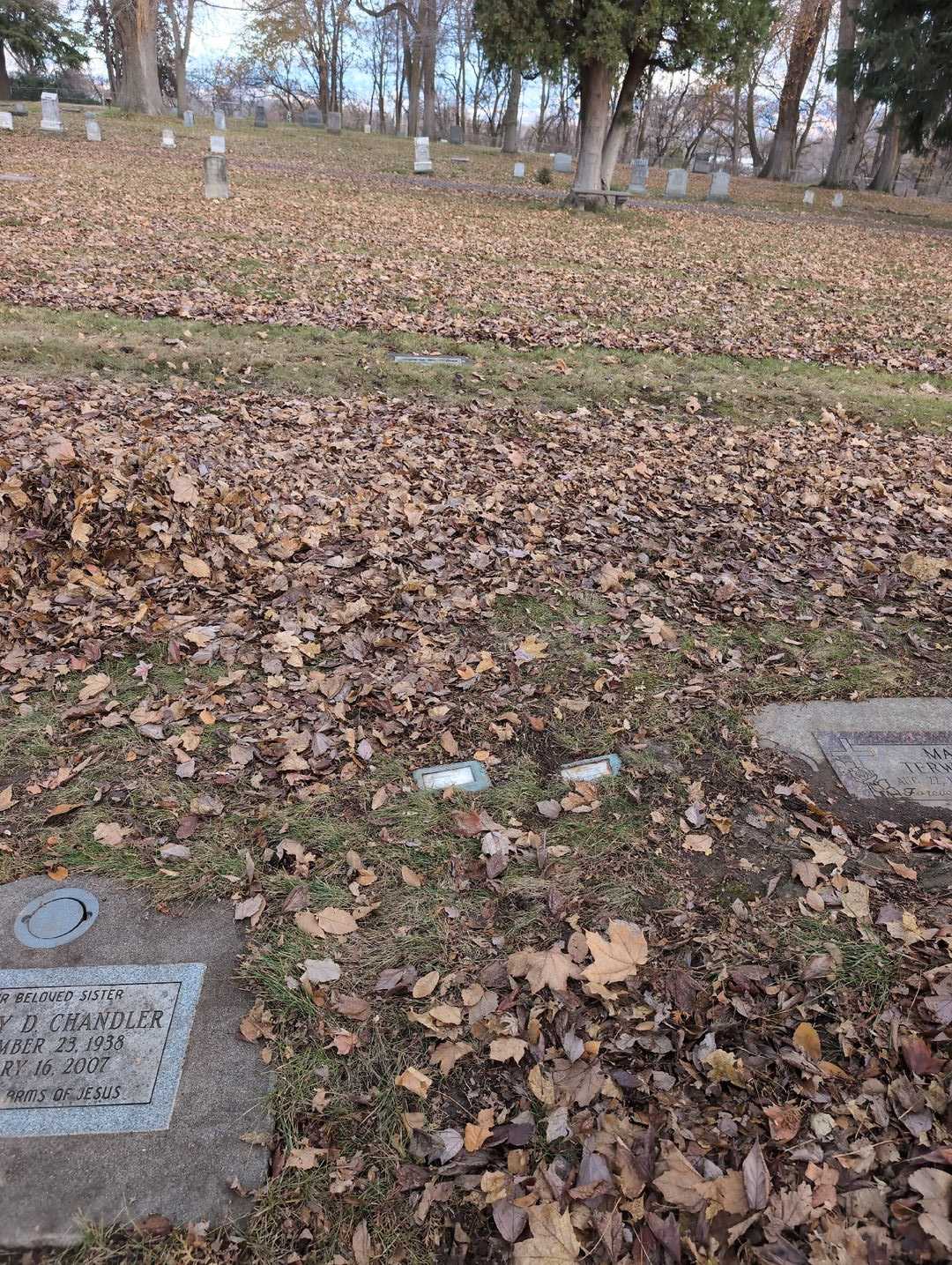 Iola A. Singleton's grave. Photo 4