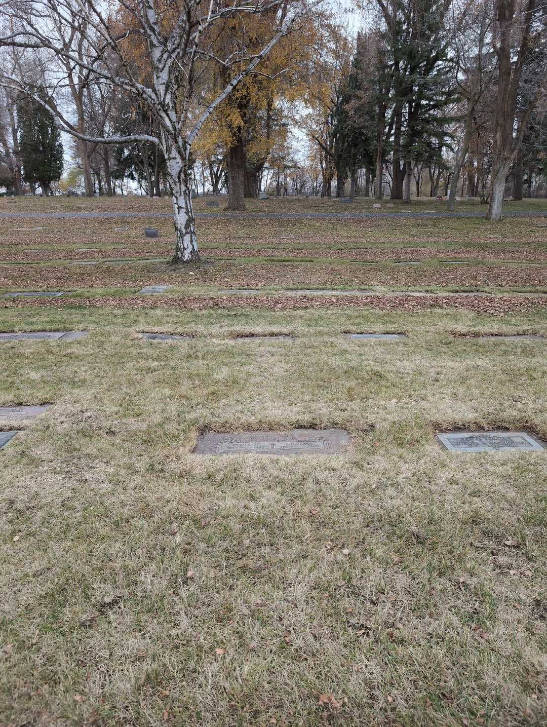Lydia V. Reinke's grave. Photo 2