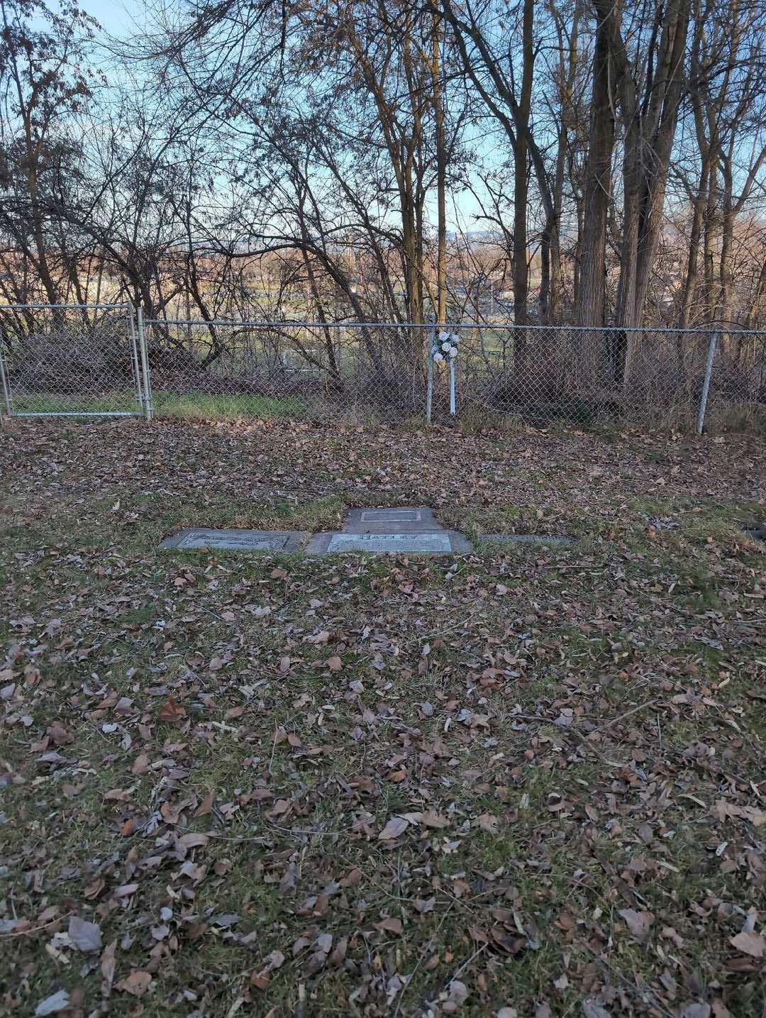 Kathleen L. Queen's grave. Photo 2