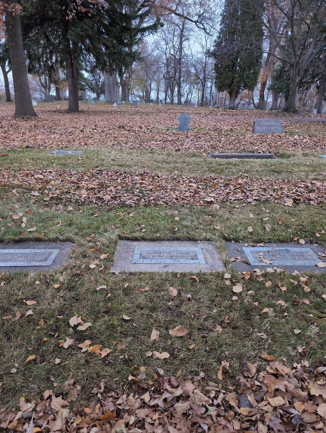 Samuel J. Taylor's grave. Photo 2