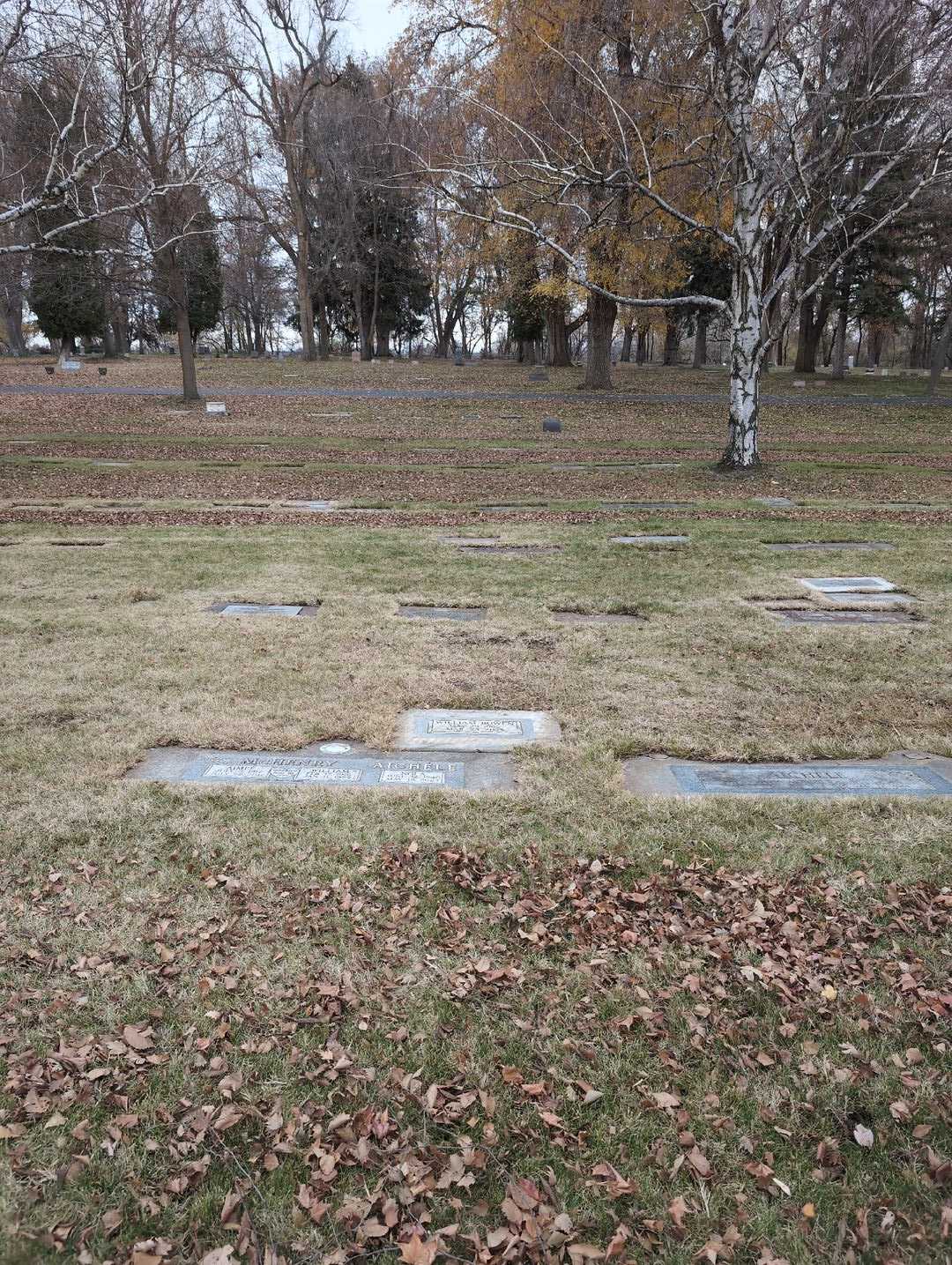 William Bowen's grave. Photo 4