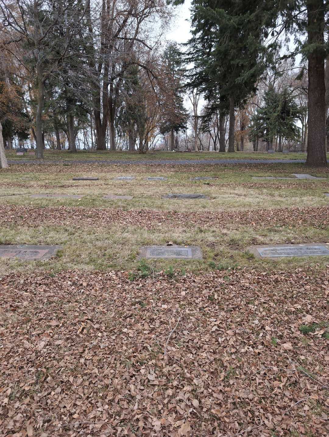 Annie G. Nelson's grave. Photo 2