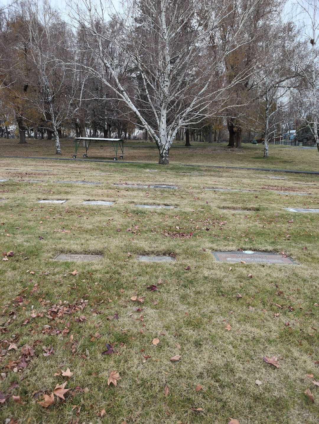 Beulah Janke's grave. Photo 2