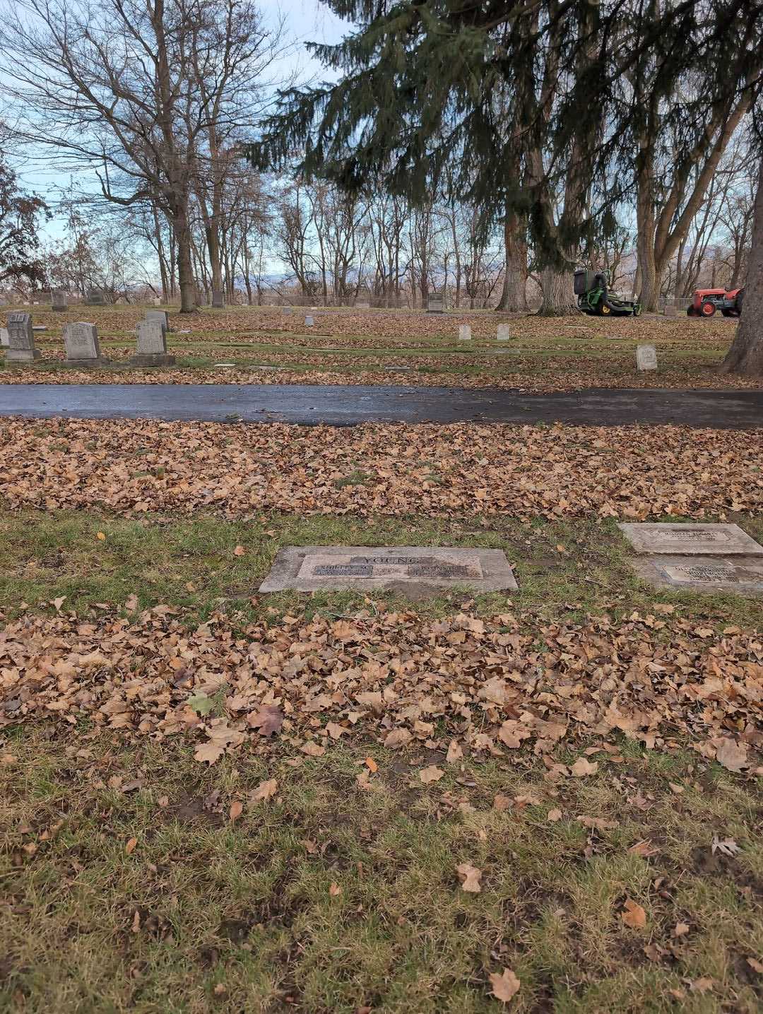 Shirley M. Young's grave. Photo 2