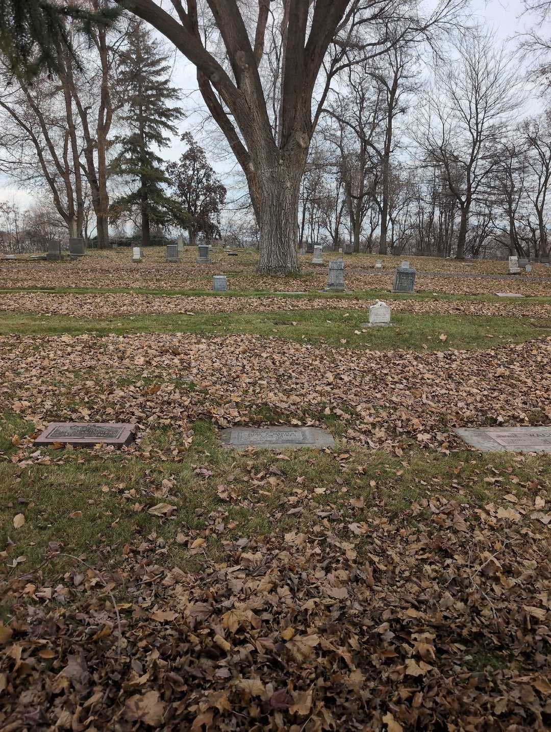Opal R. "St. Clair Faires" Harter's grave. Photo 2