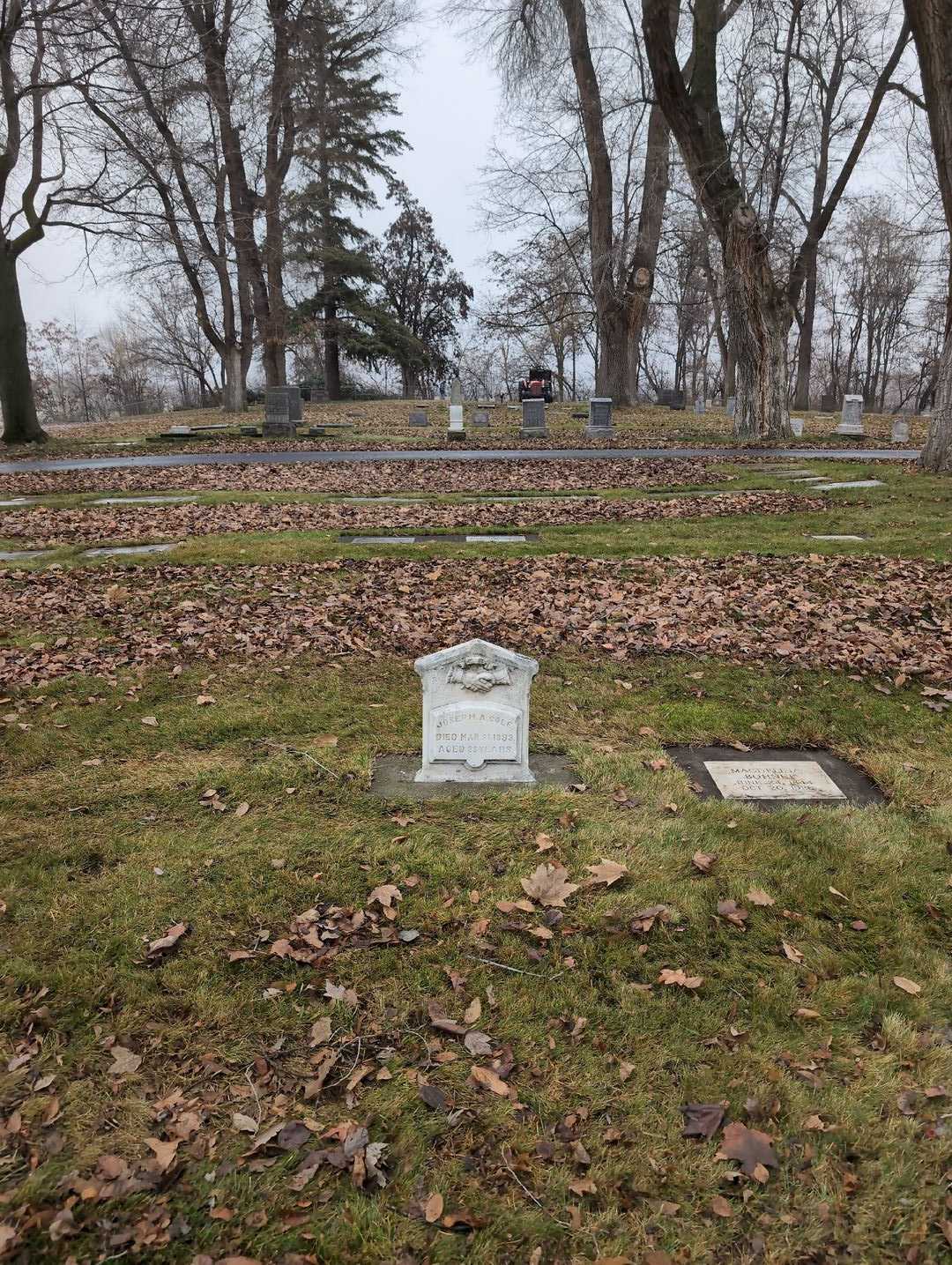 Joseph A. Cole's grave. Photo 2