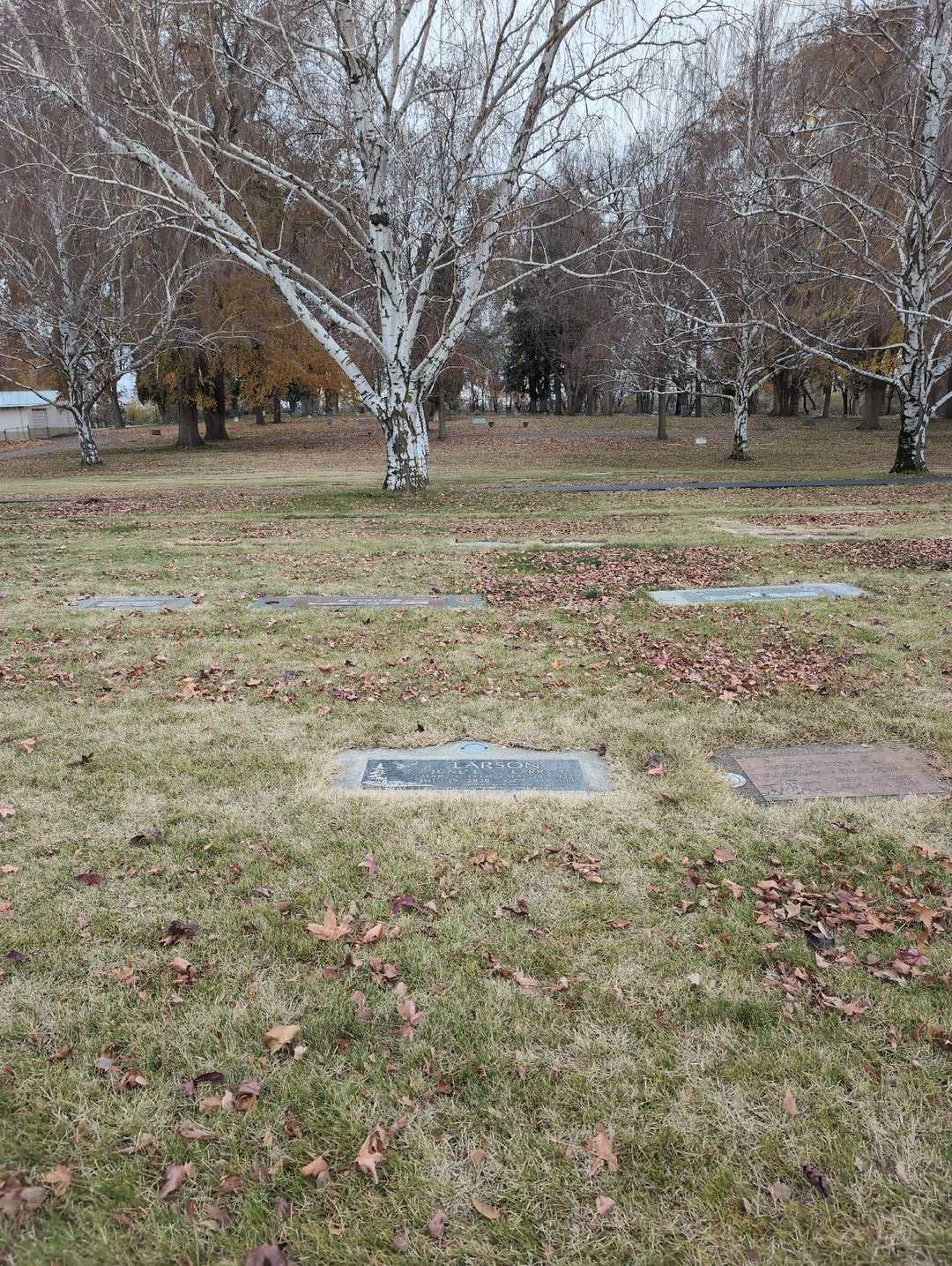 Larry T. Larson's grave. Photo 2