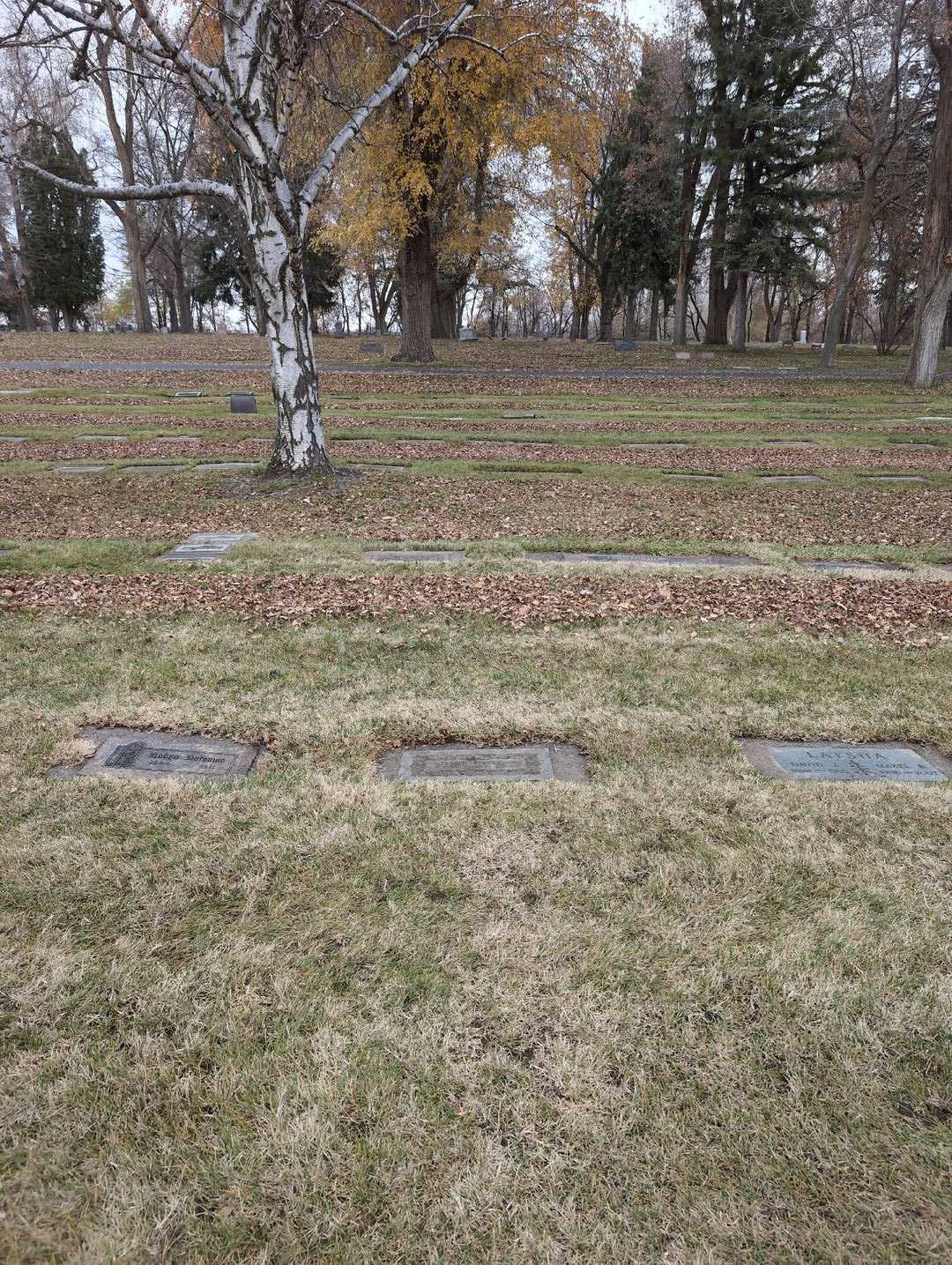 Elmer Kivett's grave. Photo 2