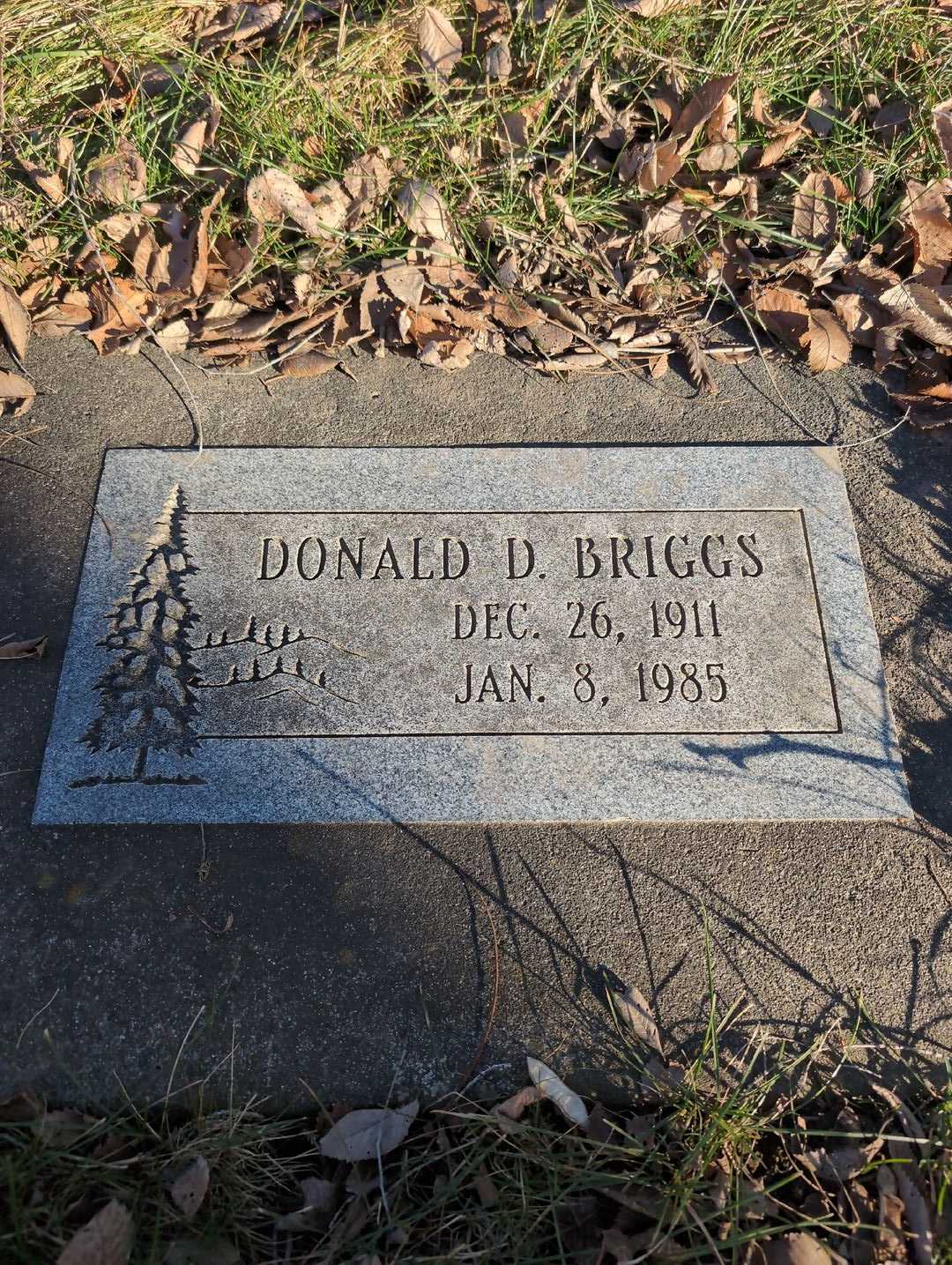 Donald D. Briggs's grave. Photo 3