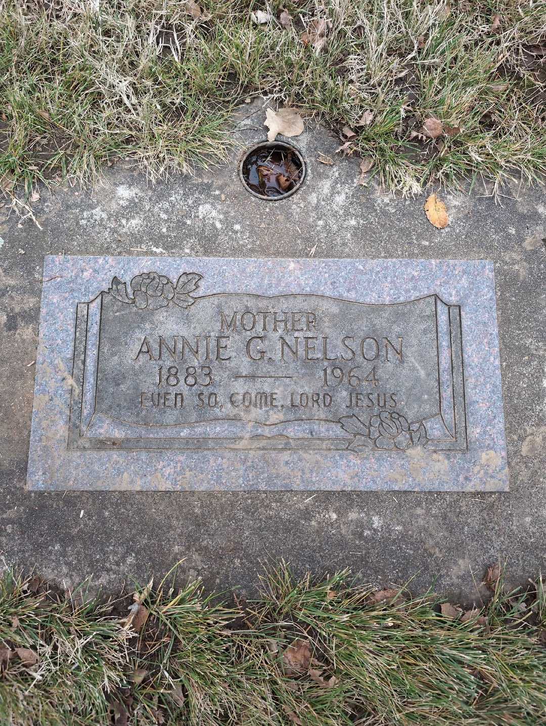 Annie G. Nelson's grave. Photo 3
