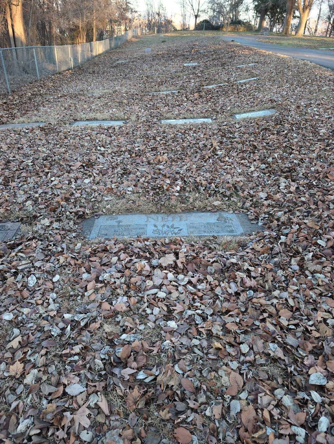 Elsie H. Neil's grave. Photo 2