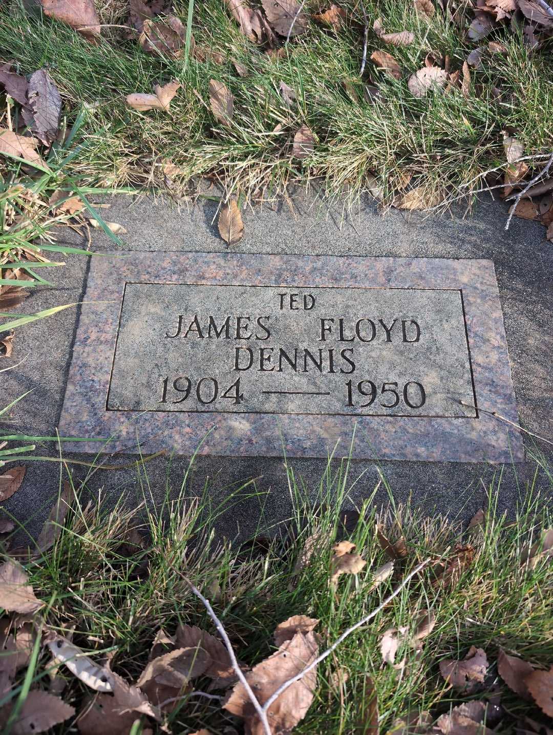 James Floyd Dennis's grave. Photo 3