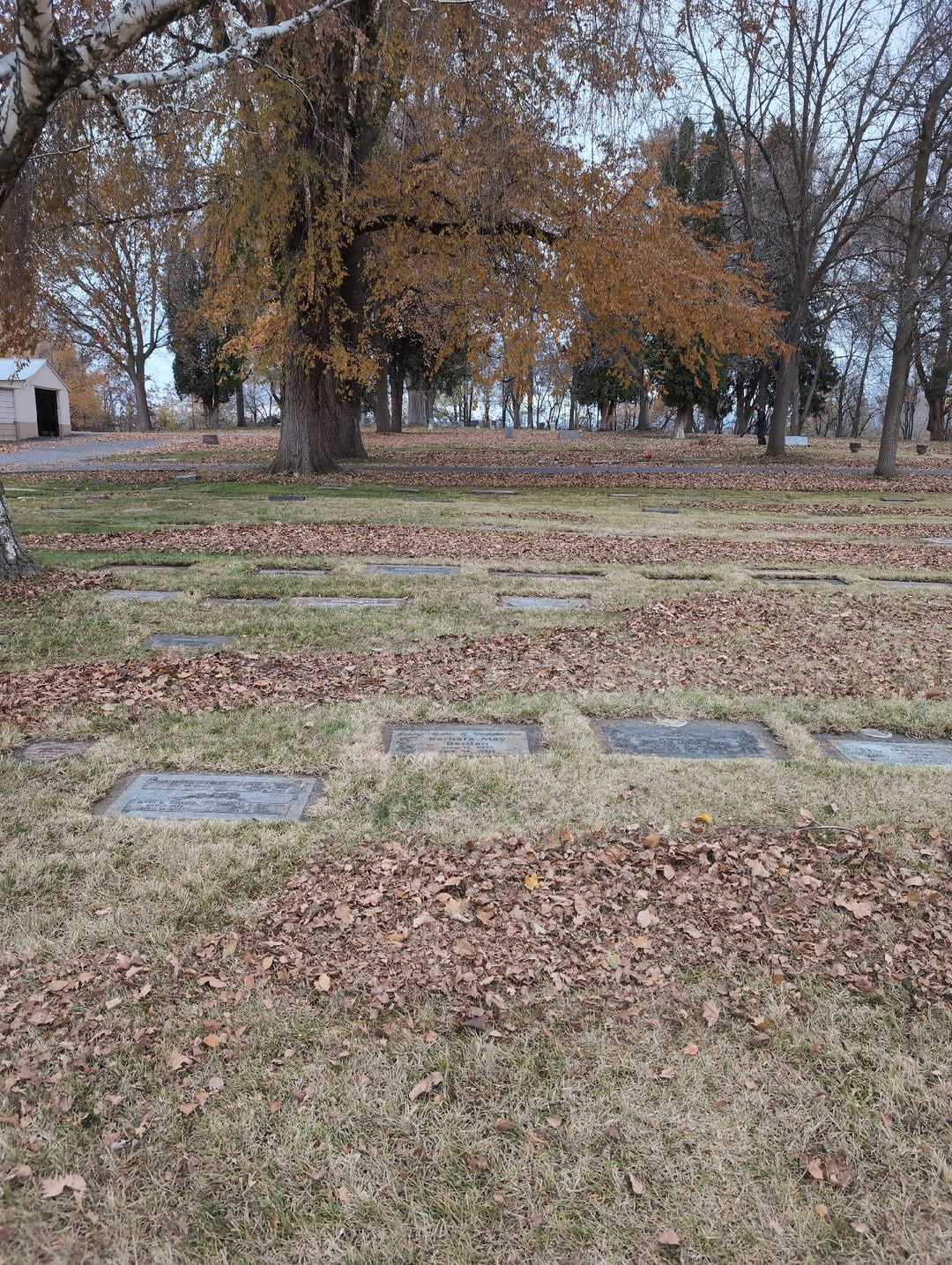 Barbara May Berdan's grave. Photo 4