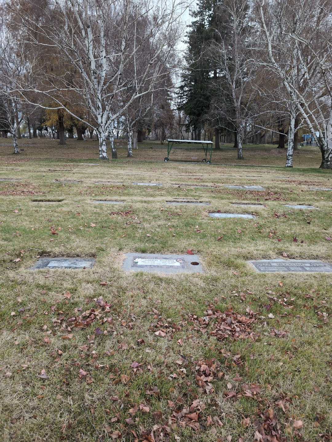 Rita Lorraine Jones Gillespie's grave. Photo 2