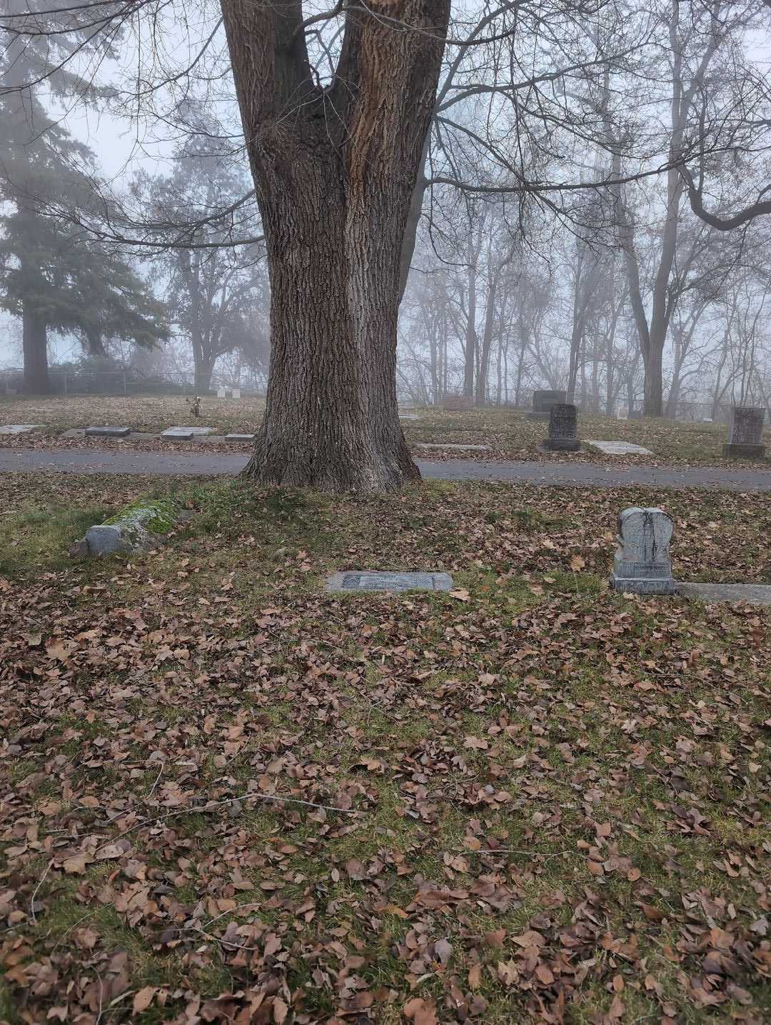 M. Bette Hults's grave. Photo 2