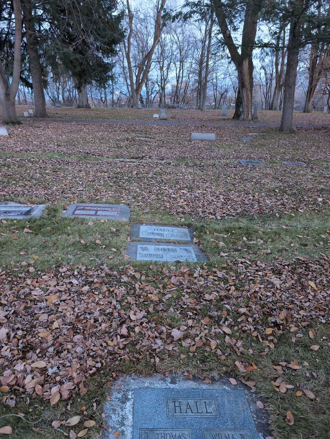 Mary H. Hagle's grave. Photo 2