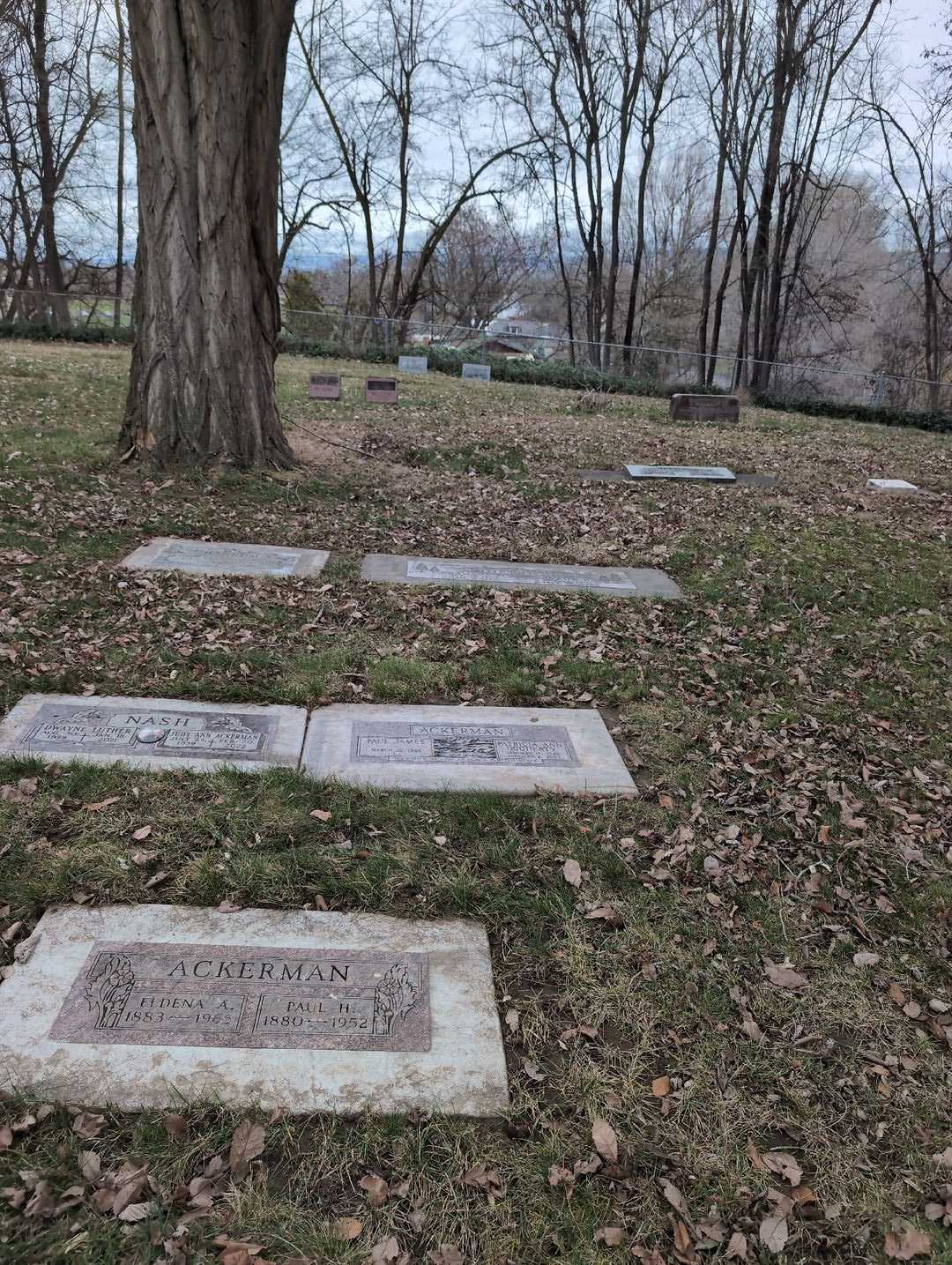 Paul H. Ackerman's grave. Photo 4