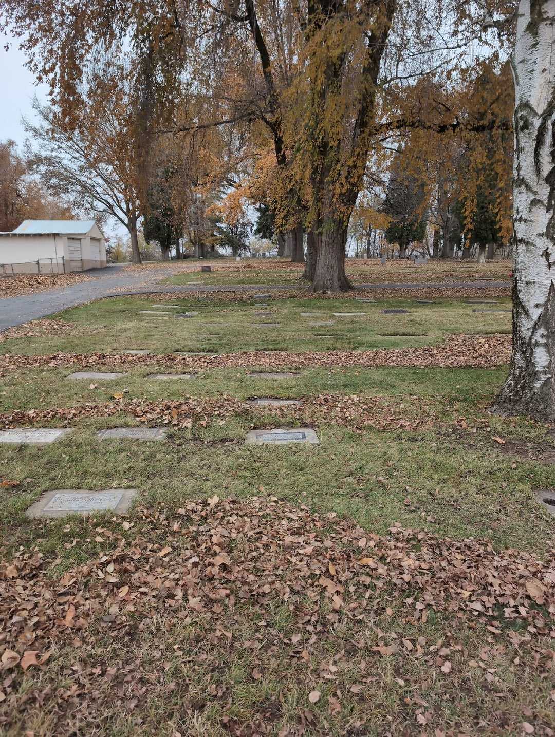 Jared Edwin Giles's grave. Photo 2
