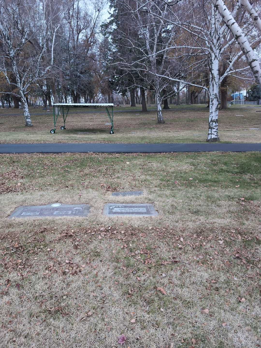 Linda Lane Gage's grave. Photo 2