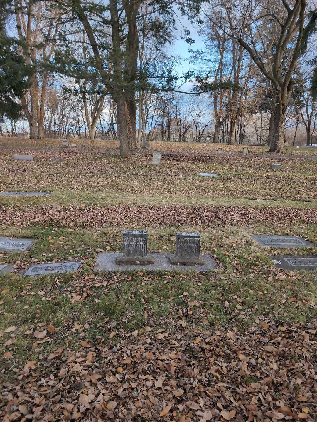Laurel Luverne Coon's grave. Photo 2