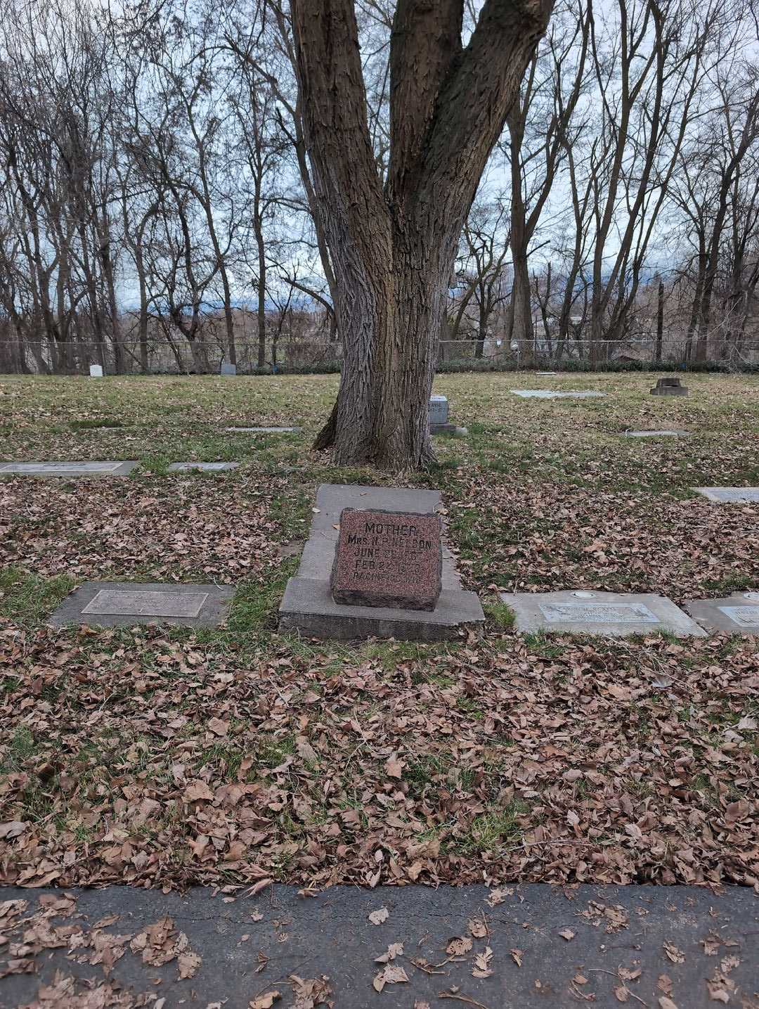 Missus/Madam Christine Eva Nelson's grave. Photo 2