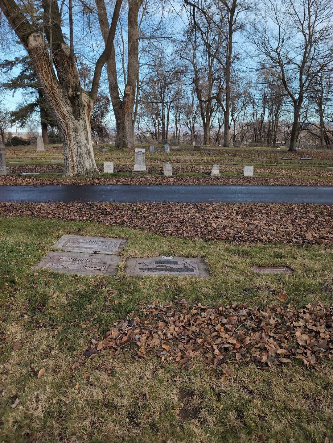 James A. Ogren's grave. Photo 2