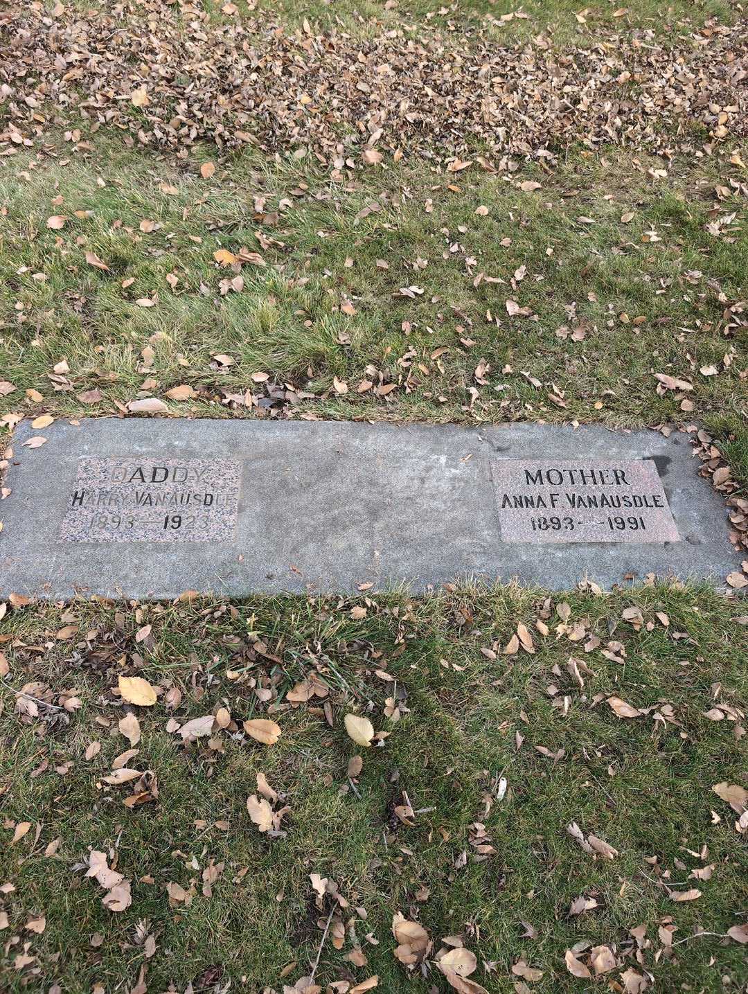 Harry James Van Ausdle's grave. Photo 3