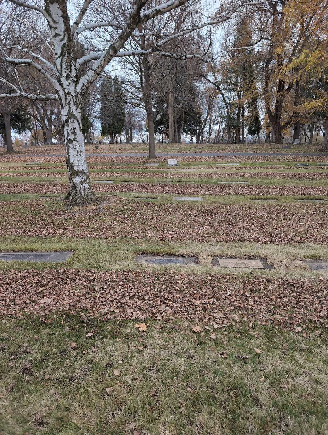 Nola Byers McCrary's grave. Photo 2