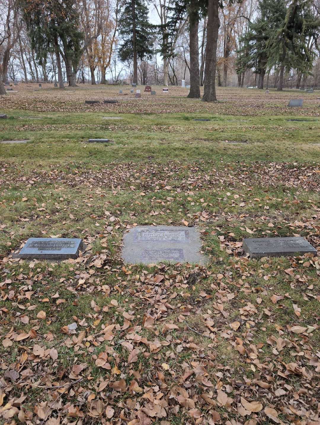 Edwin Eugene Fairchild Junior's grave. Photo 2