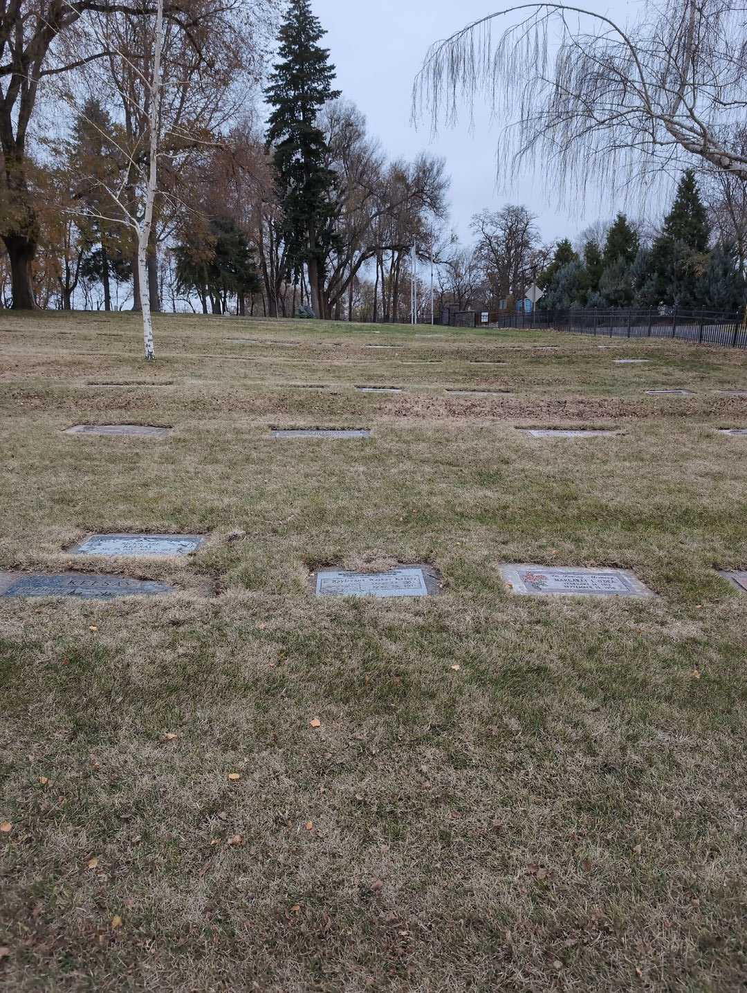Carole Ray Deane Walker Kelsay's grave. Photo 2