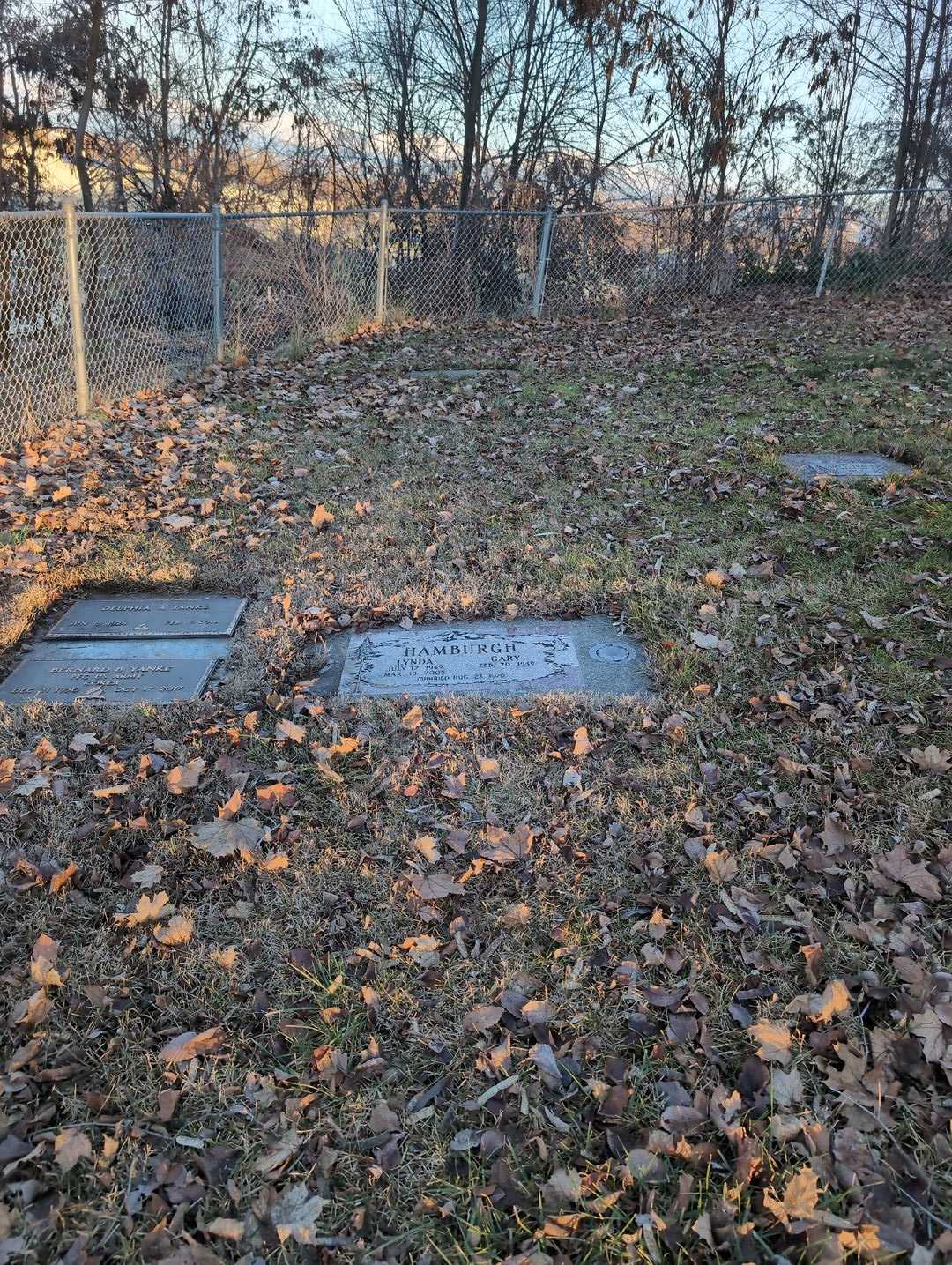 Lynda D. Hamburgh's grave. Photo 2