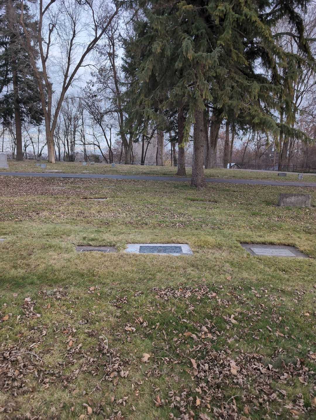 Olivia Omstead's grave. Photo 2