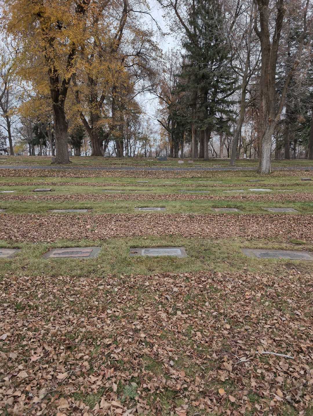 Hermina "Minnie" Thompson's grave. Photo 2
