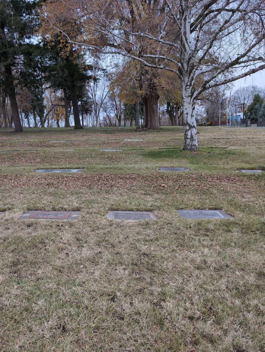 Robert Louis Jackson's grave. Photo 2