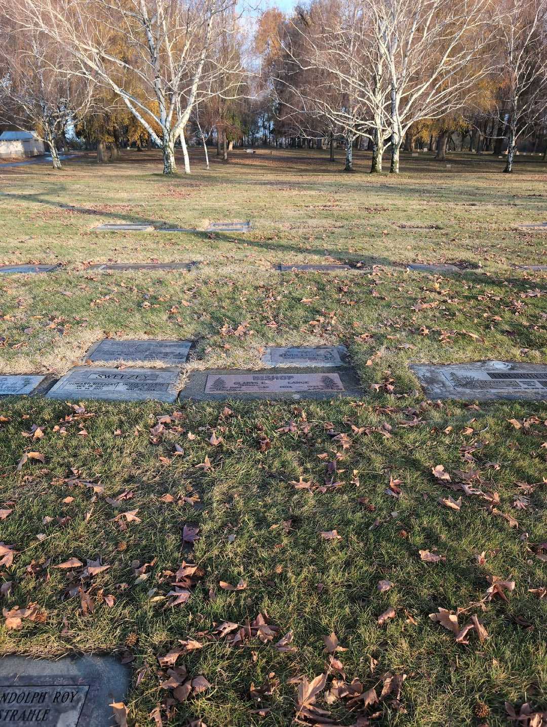 Erwin Lance Bishop's grave. Photo 4