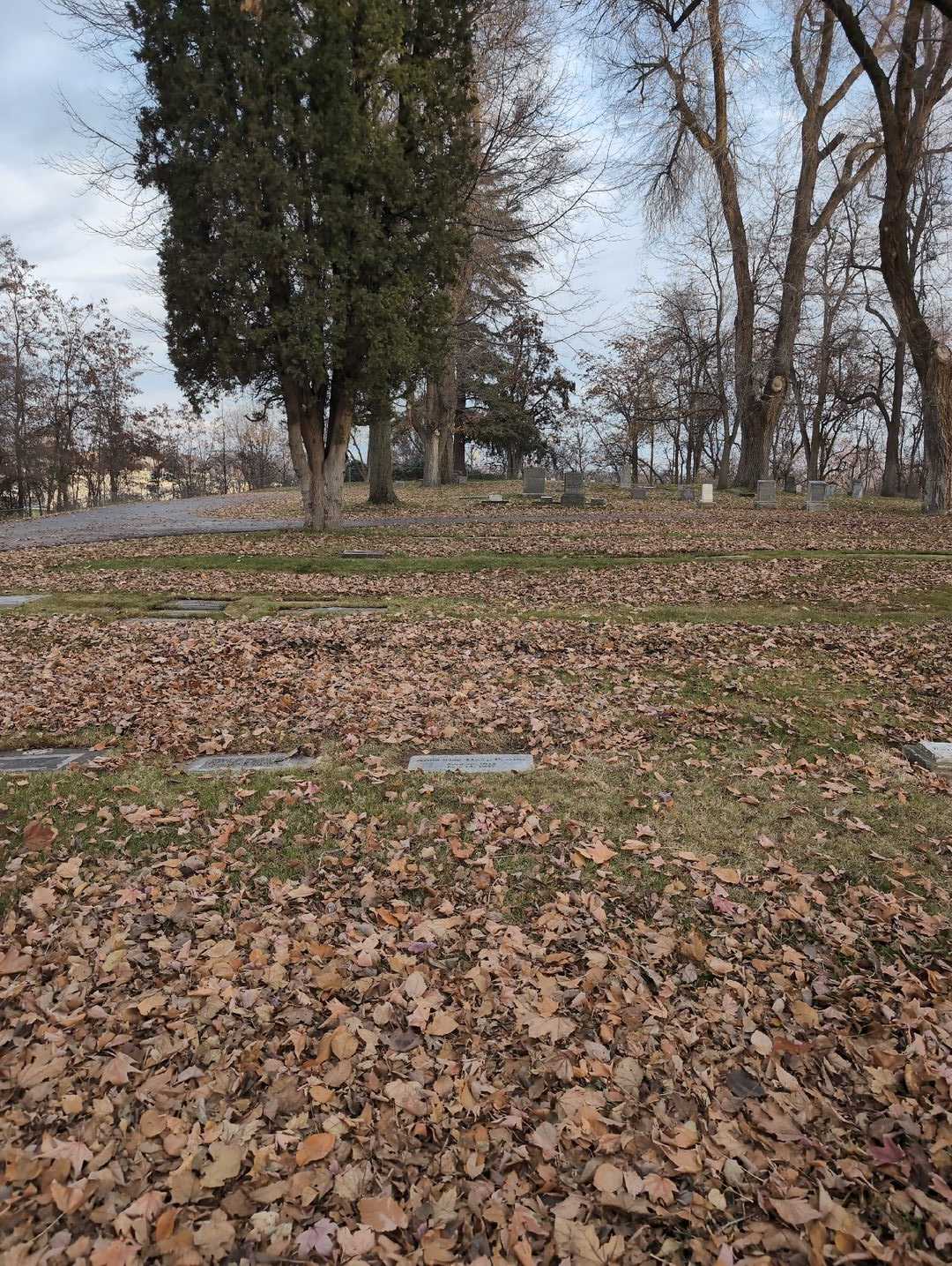 Anna Mae Thorp Perrine's grave. Photo 2