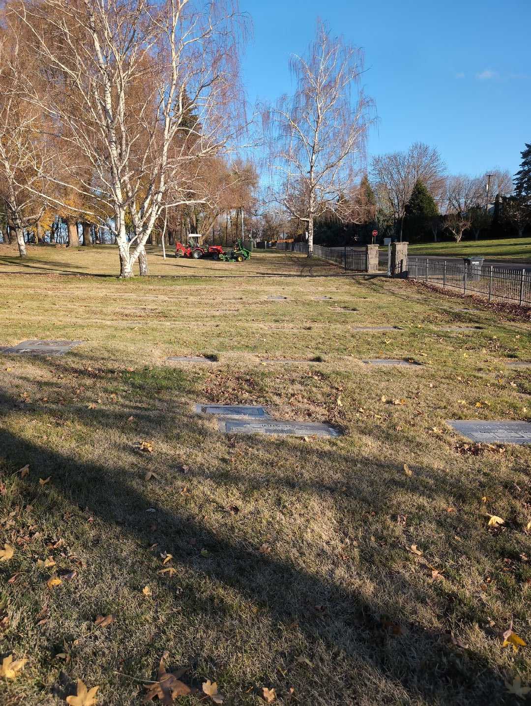 Arlene E. Johnson's grave. Photo 4