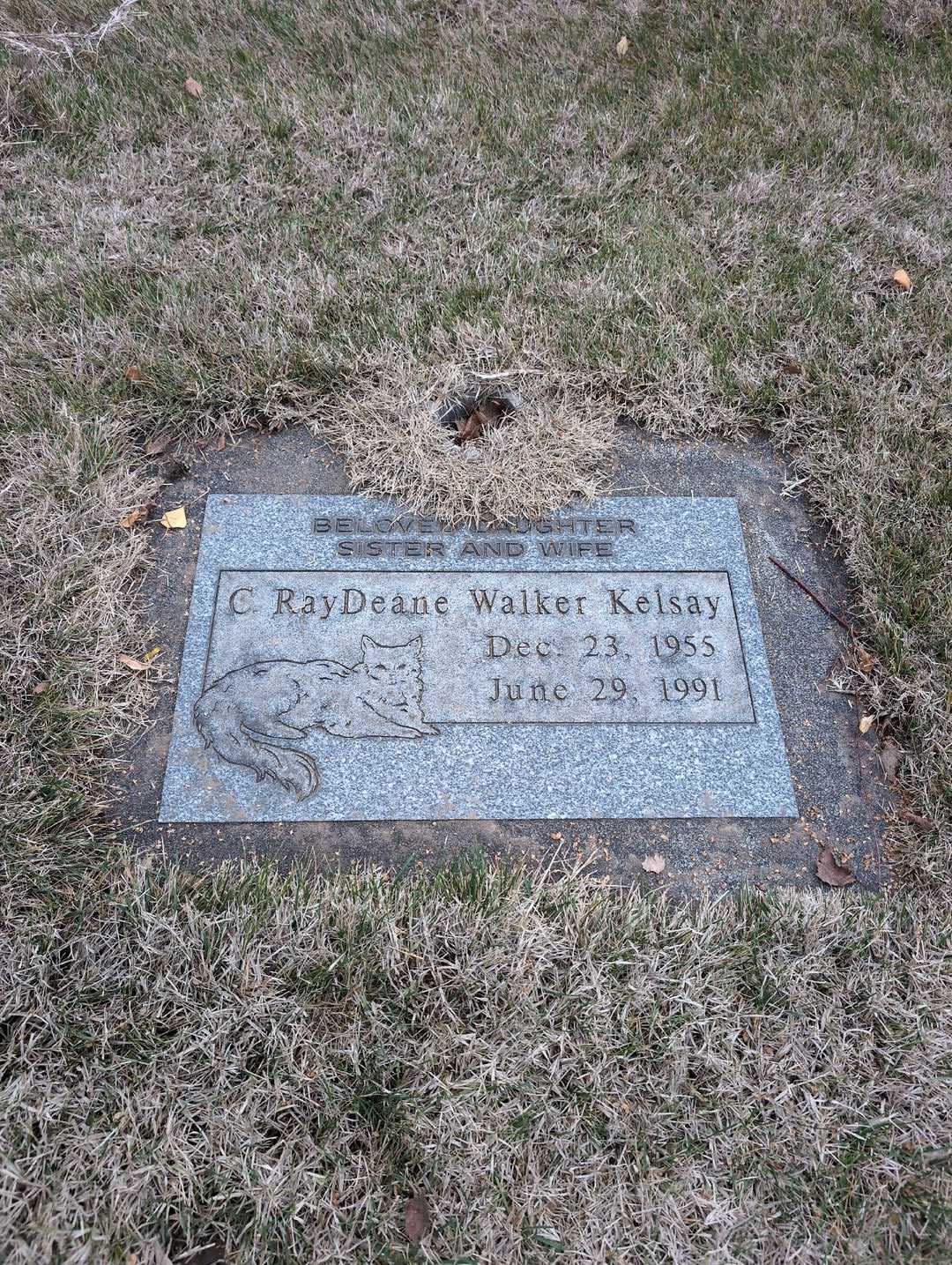Carole Ray Deane Walker Kelsay's grave. Photo 3