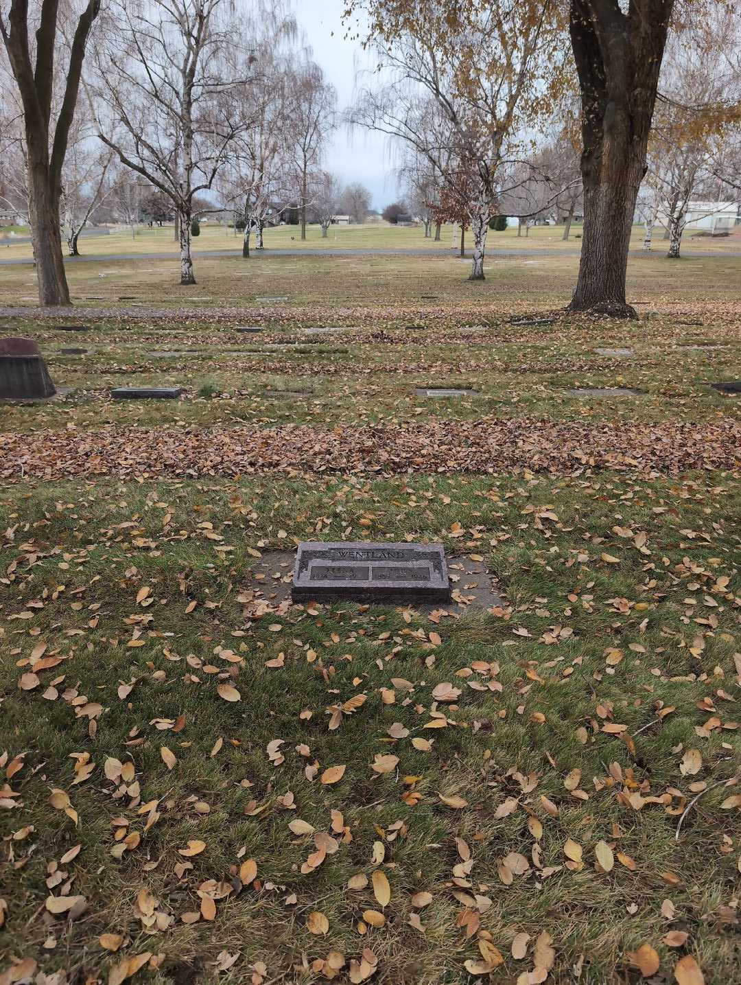 John Wentland's grave. Photo 2
