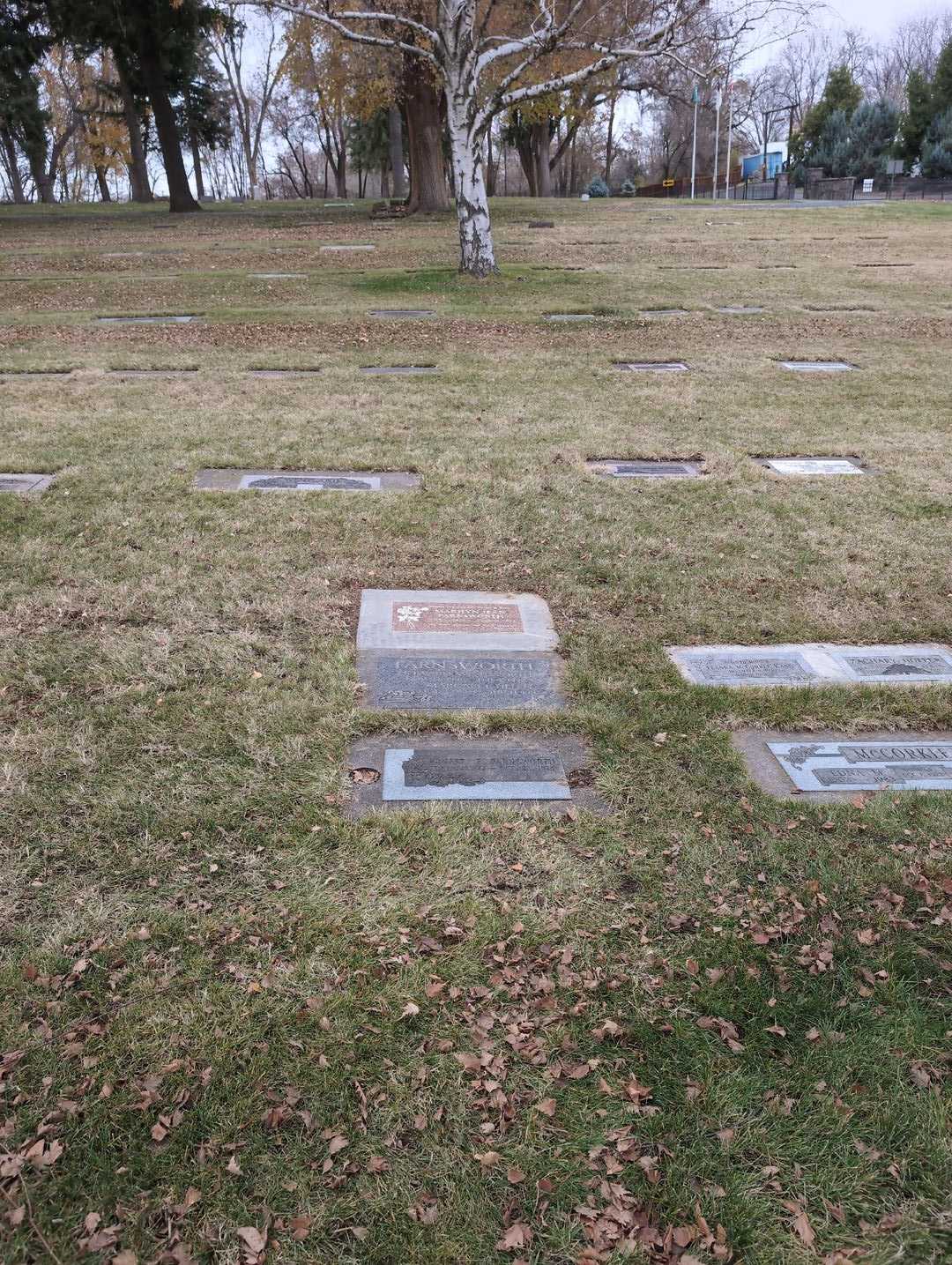 Marilyn Jean Farnsworth's grave. Photo 6