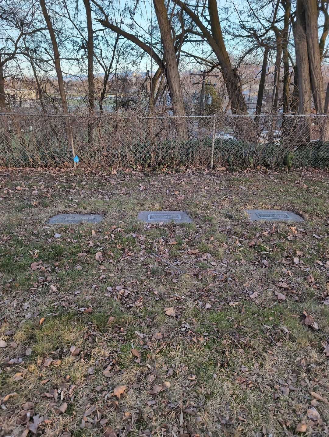 Lucy Tena Carr's grave. Photo 2